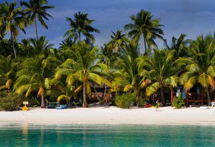 Voyage aux Iles Cook